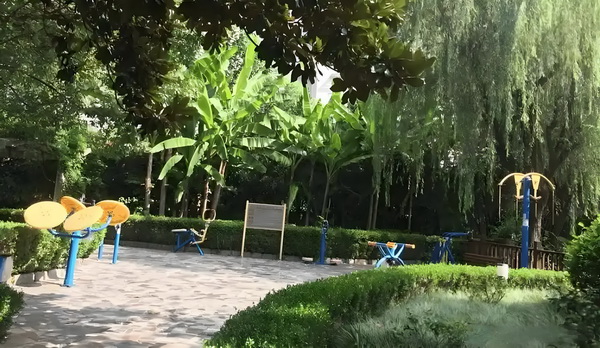 程潇曾确诊精神疾病与梁朝伟传闻早真相大白